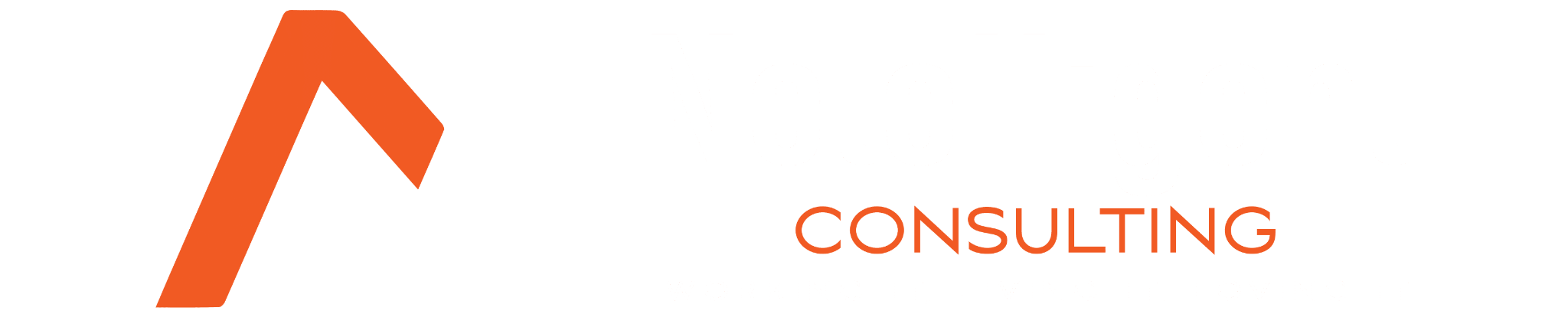 Netelligent Consulting